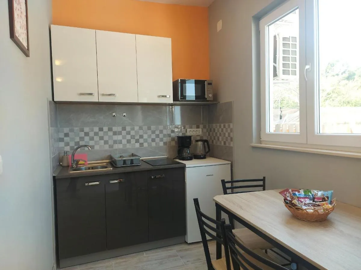 Studio Apartment Palmira Ližnjan